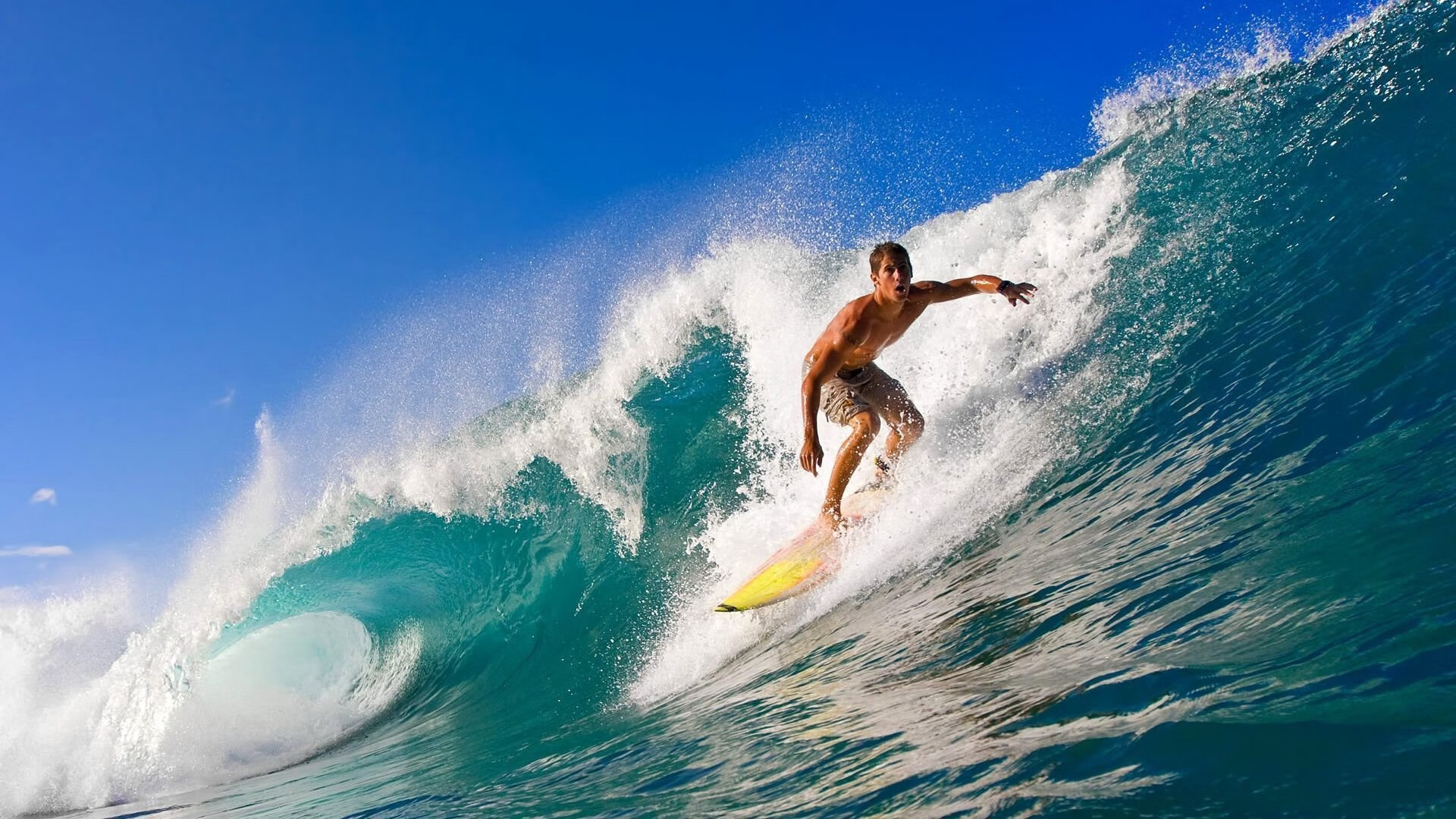 仰泳赛道中立代表队A选手节奏精准,仰泳 2017